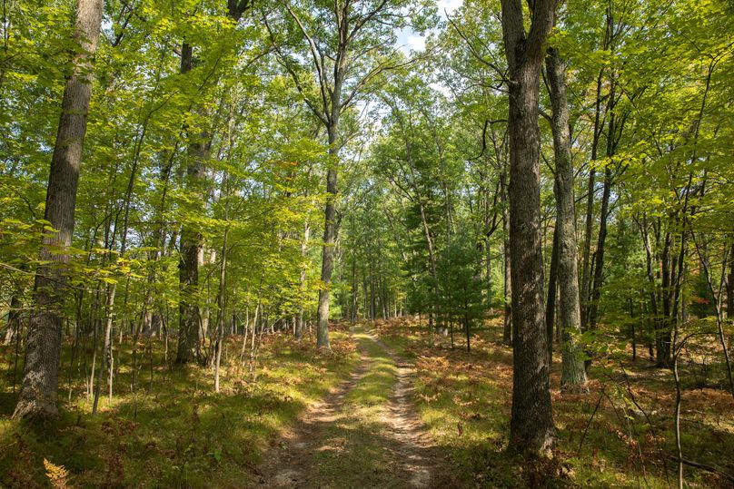 12 south access off 6 mile rd.