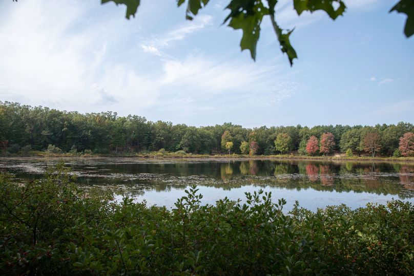 1 lake county 78 - acres with private 10 acre lake and access to two others!