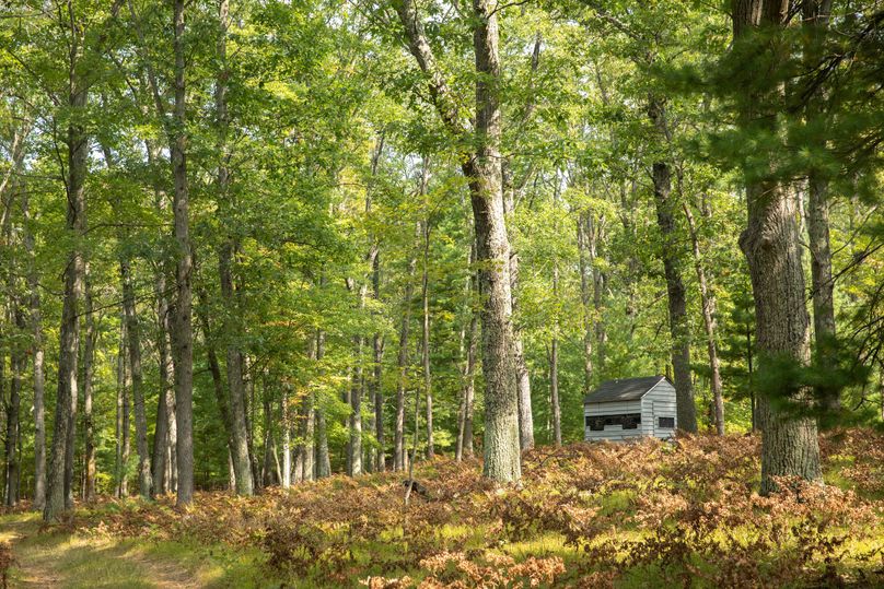2 deer blinds strategically placed throughout the property