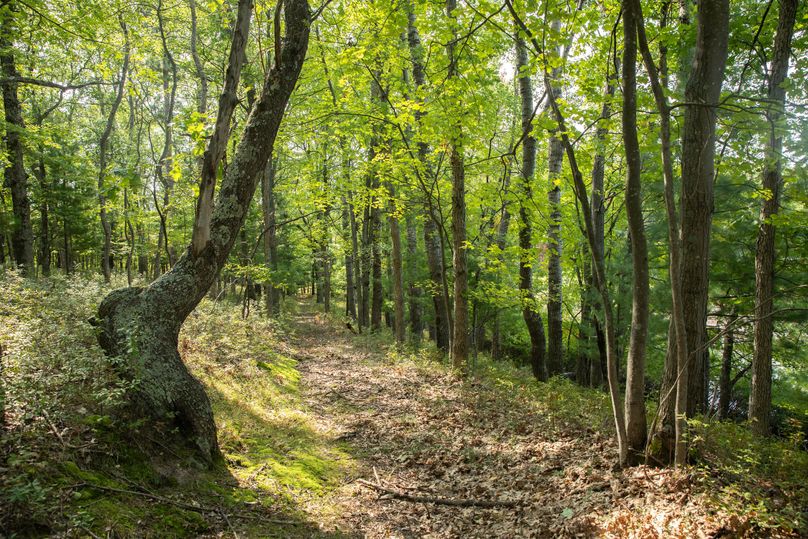 3 established trail system provides great access