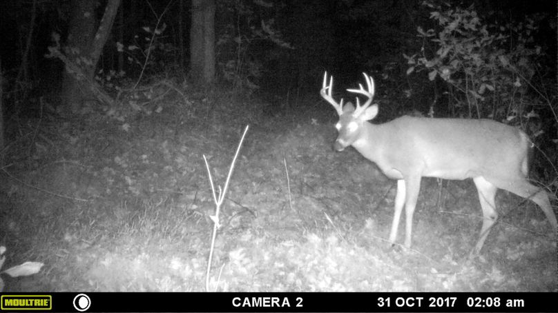 Trail cam6