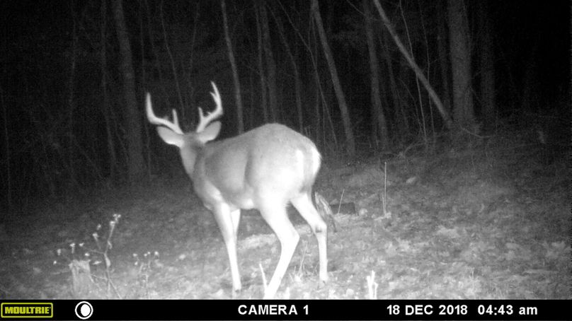 Trail cam9