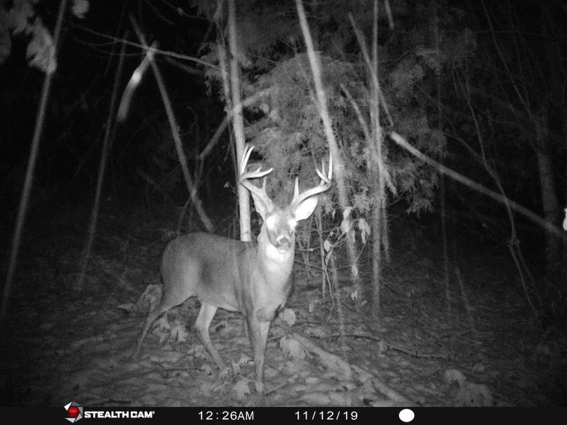 Trail cam10