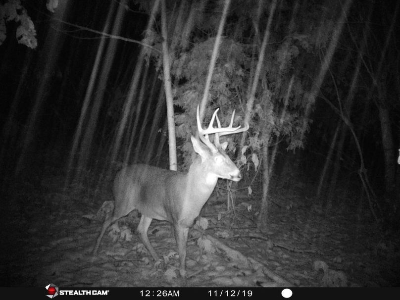 Trail cam11