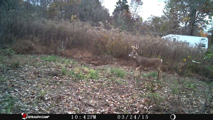 Trail cam13