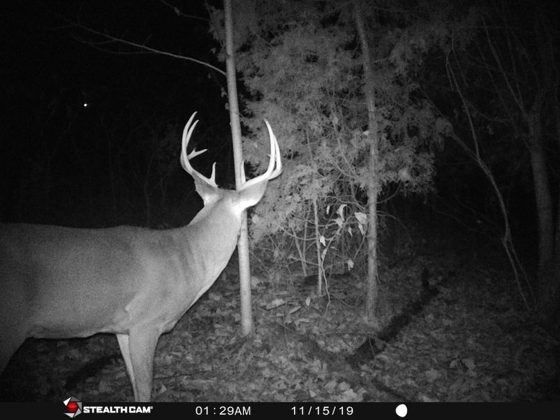 Trail cam14