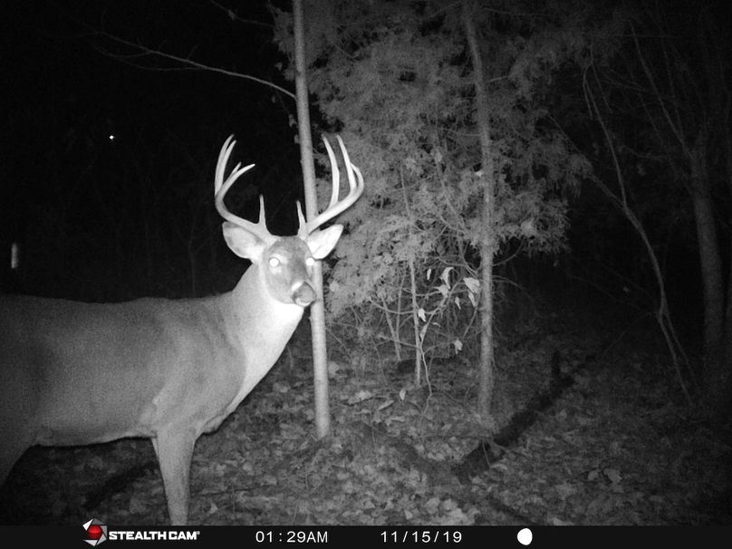 Trail cam15