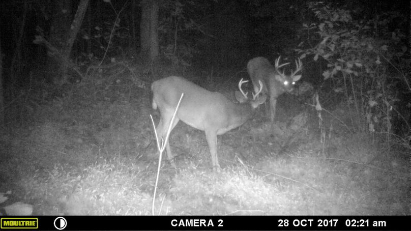 Trail cam3