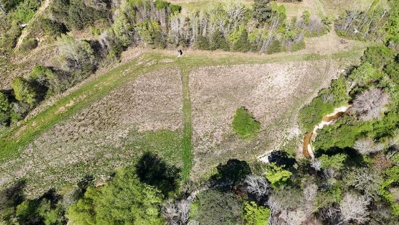 DJI_20250416110650_0132_D