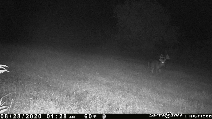 Thumbnail image-1 (11)