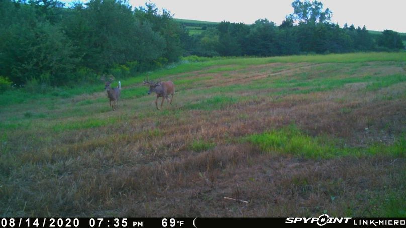 Thumbnail image-1 (12)