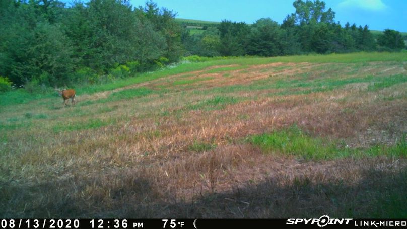 Thumbnail image-1 (13)