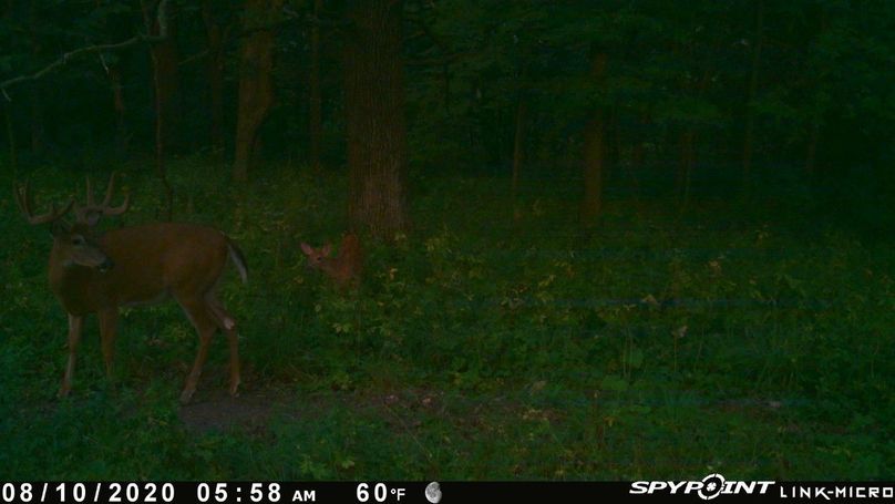 Thumbnail image-1 (14)