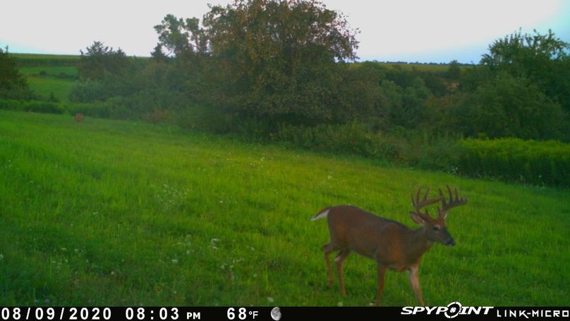 Thumbnail image-1 (15)