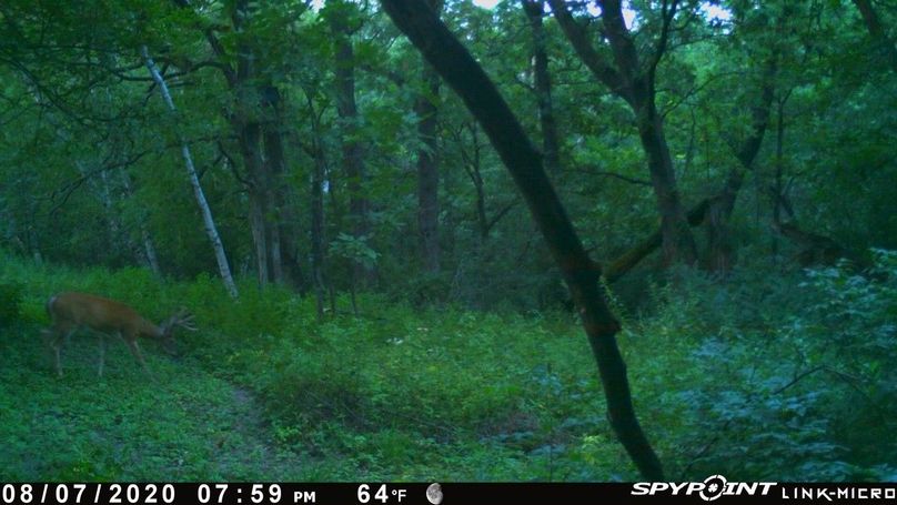 Thumbnail image-1 (16)