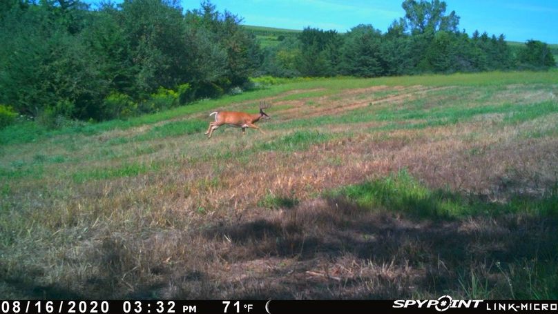 Thumbnail image-1 (17)