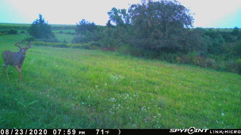 Thumbnail image-1 (18)