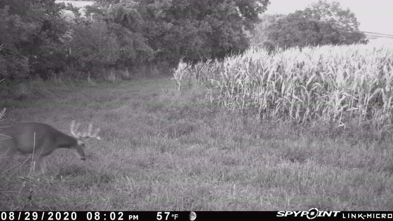 Thumbnail image-1 (2)