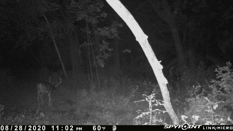 Thumbnail image-1 (20)