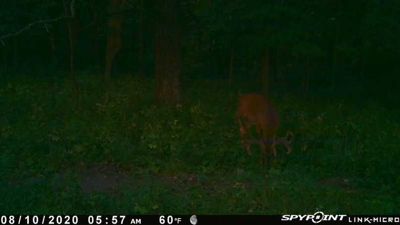 Thumbnail image-1 (21)