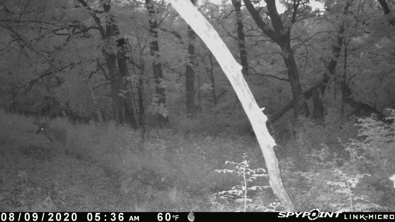 Thumbnail image-1 (22)