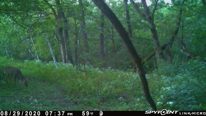 Thumbnail image-1 (23)