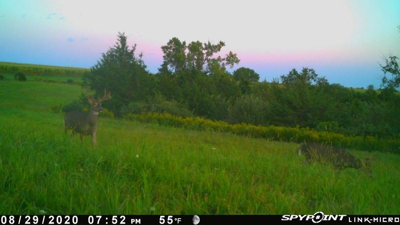 Thumbnail image-1 (24)