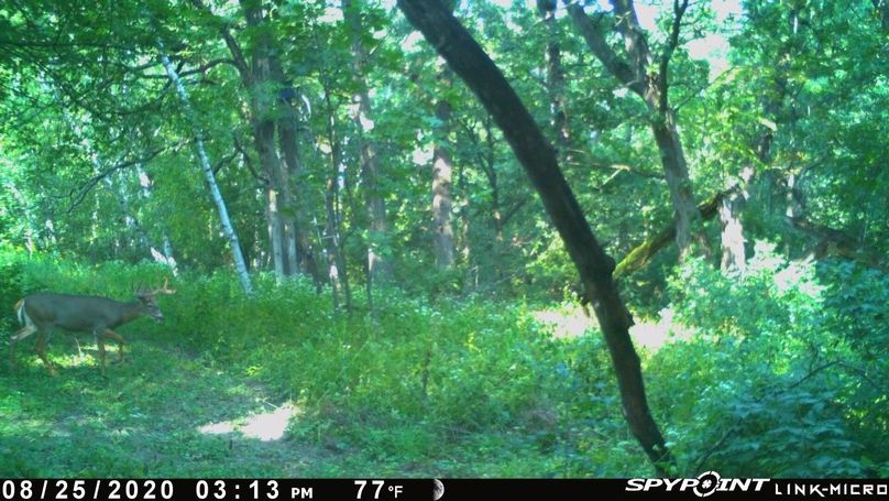 Thumbnail image-1 (25)