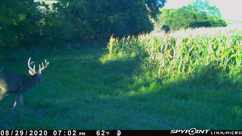 Thumbnail image-1 (3)