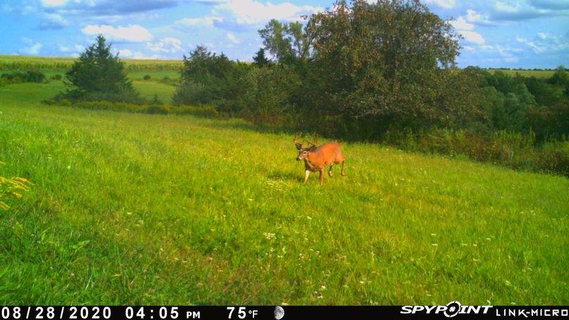 Thumbnail image-1 (4)