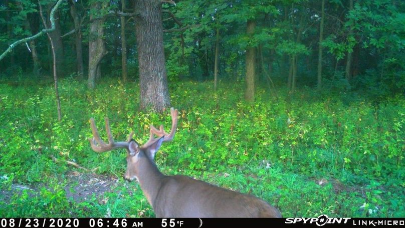 Thumbnail image-1 (5)