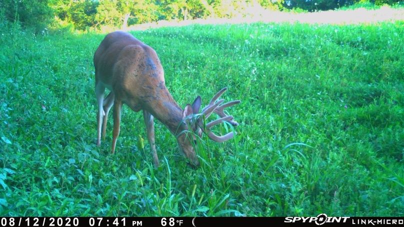 Thumbnail image-1 (6)