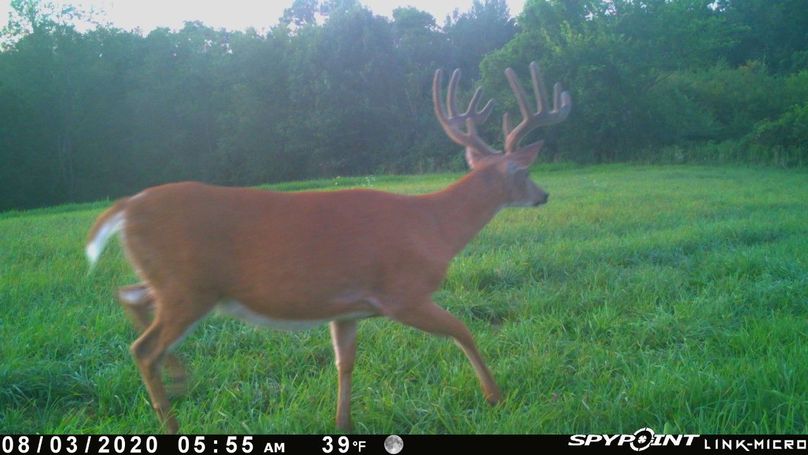 Thumbnail image-1 (8)