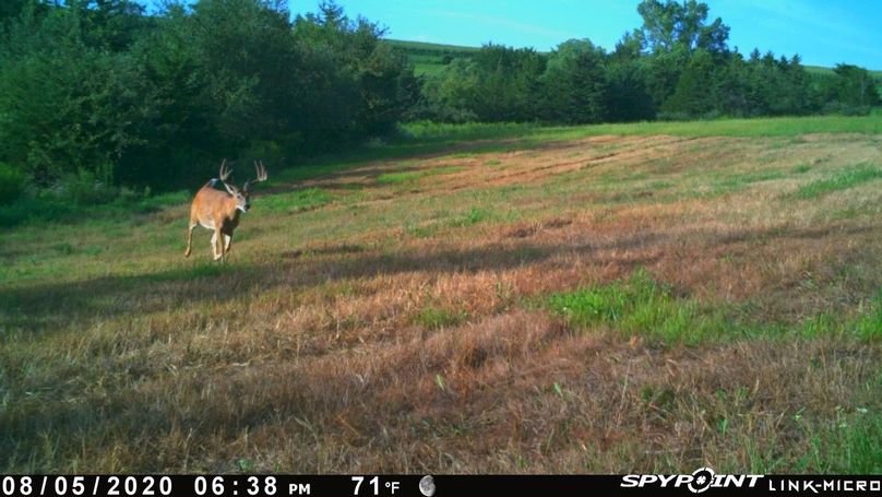 Thumbnail image-1 (9)