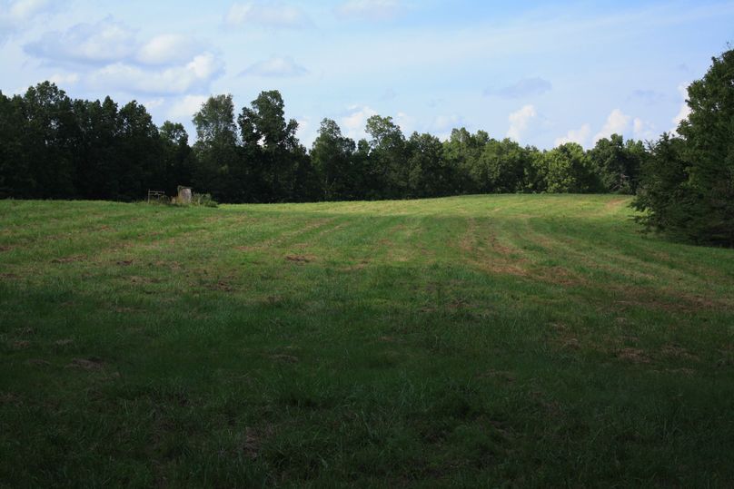 Field(1)