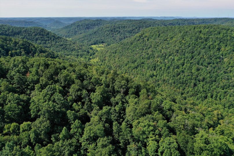 002 beautiful aerial from the middle of the property looking down the valley to the south