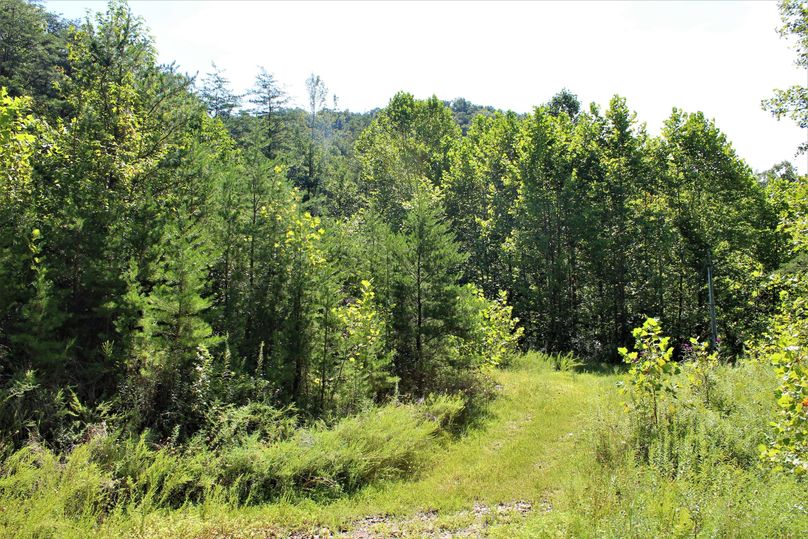 004 the old home seat near the entrance of the property