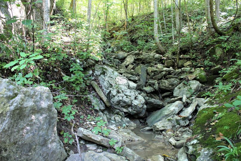 005 one of the feeder tributaries feeding from the upper elevations