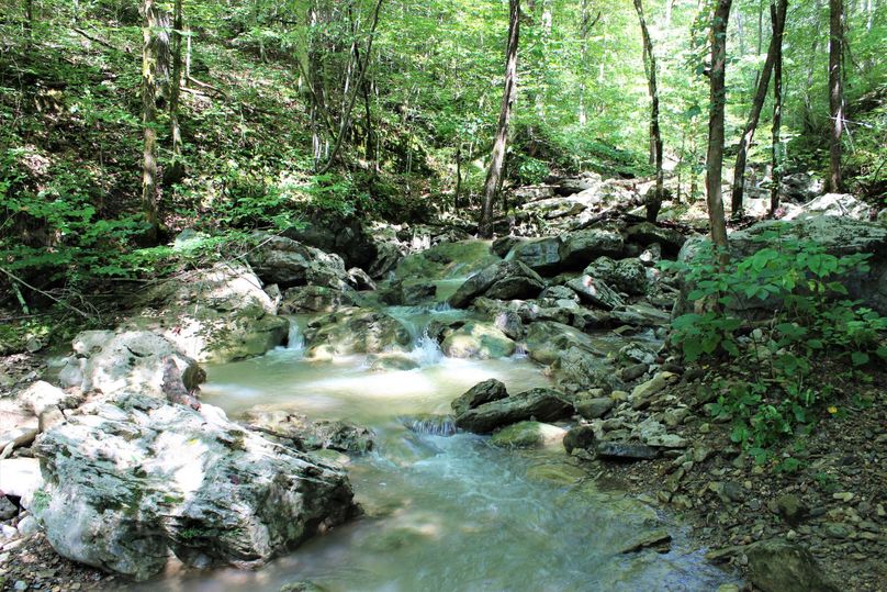 013 limestone boulder laden mountain stream flowing through the middle of the property
