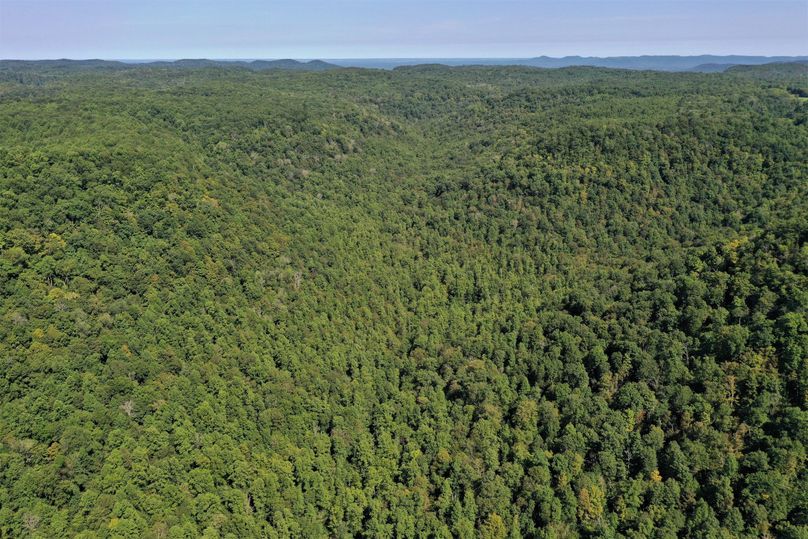 017 aerial shot from the middle of the property looking to the north up the valley into national forest