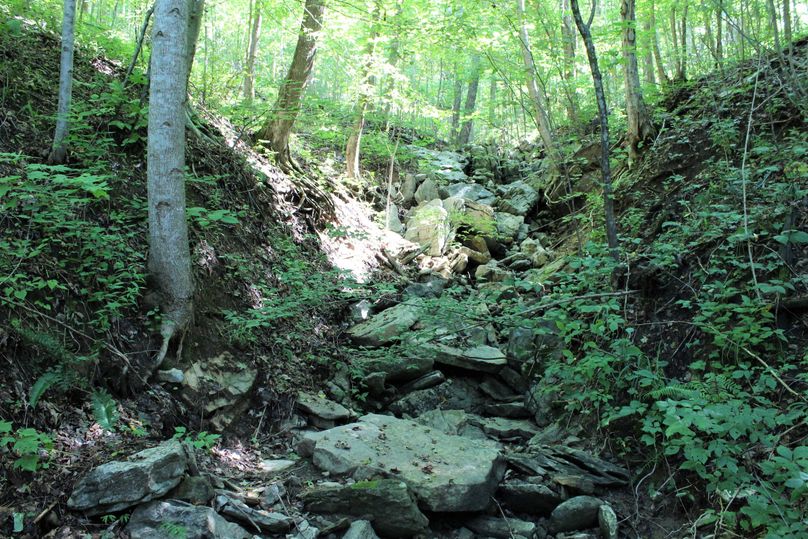 016 another boulder laden ephemeral stream along the upper reaches of the property