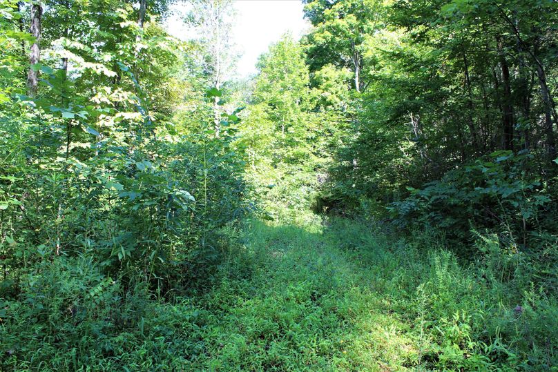 018 one of the many network of roads leading about the property