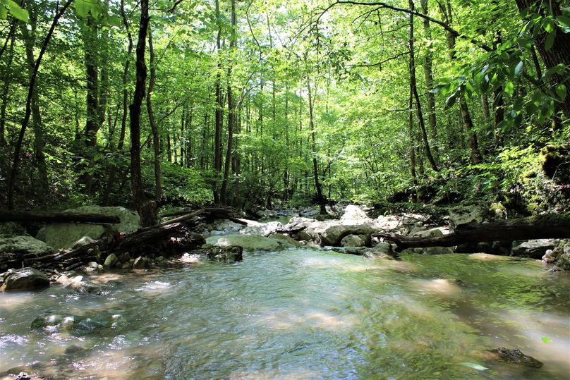 019 beautiful pool in the main valley stream