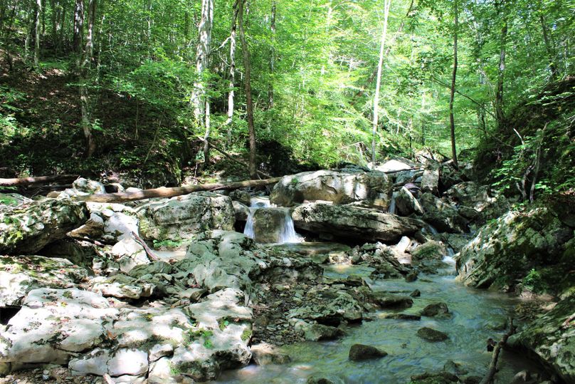 026 beautiful mountain stream flowing out of national forest, don t get much prettier than that