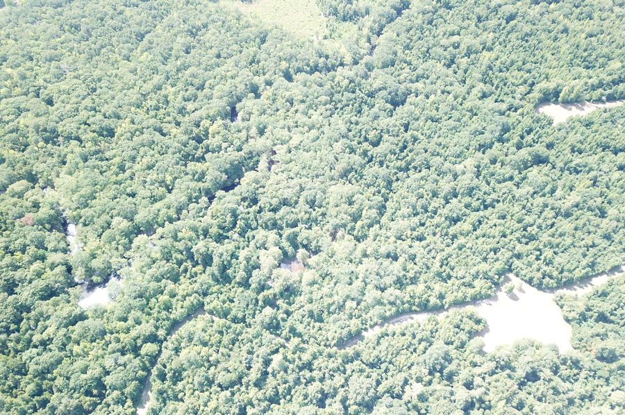 DJI_0215