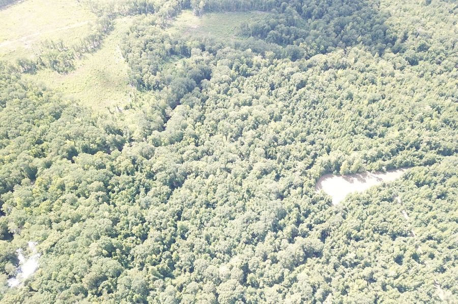 DJI_0211