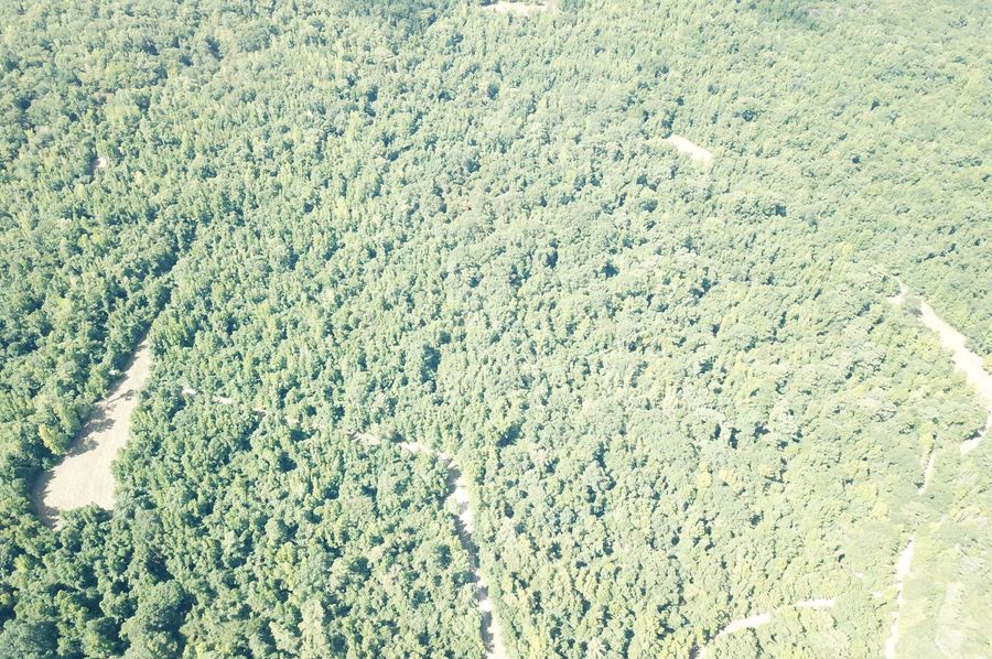 DJI_0210