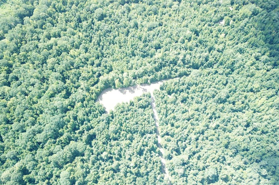 DJI_0217