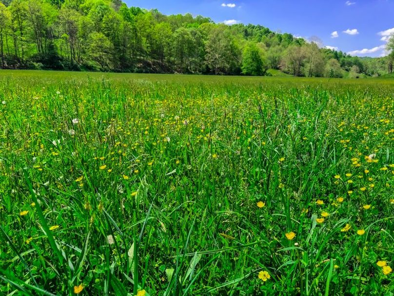 Tyler, WV 161.03 AC Fitzsimmons-065