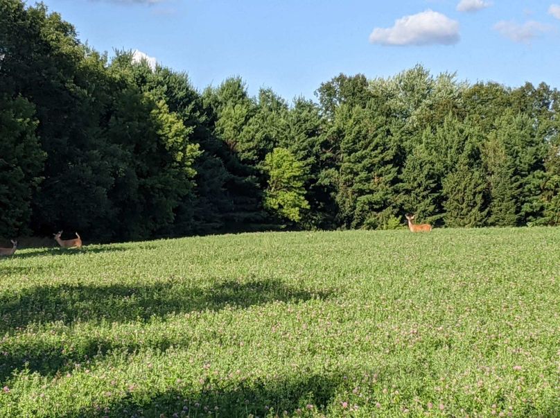 U1cxaFoyVXdNREF3S0RFcA==